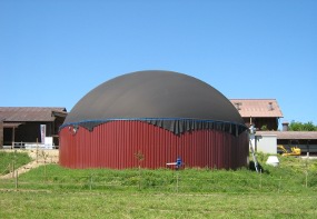 Biogas